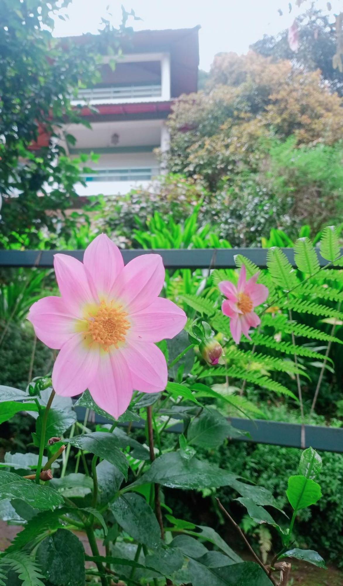 Blackberry Hills Munnar Nature Resort & Spa Esterno foto
