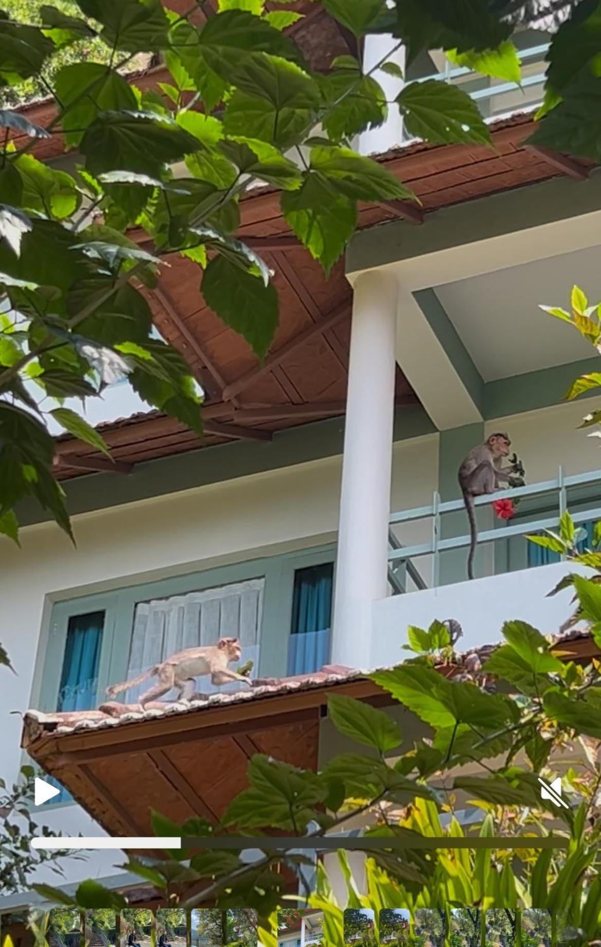 Blackberry Hills Munnar Nature Resort & Spa Esterno foto