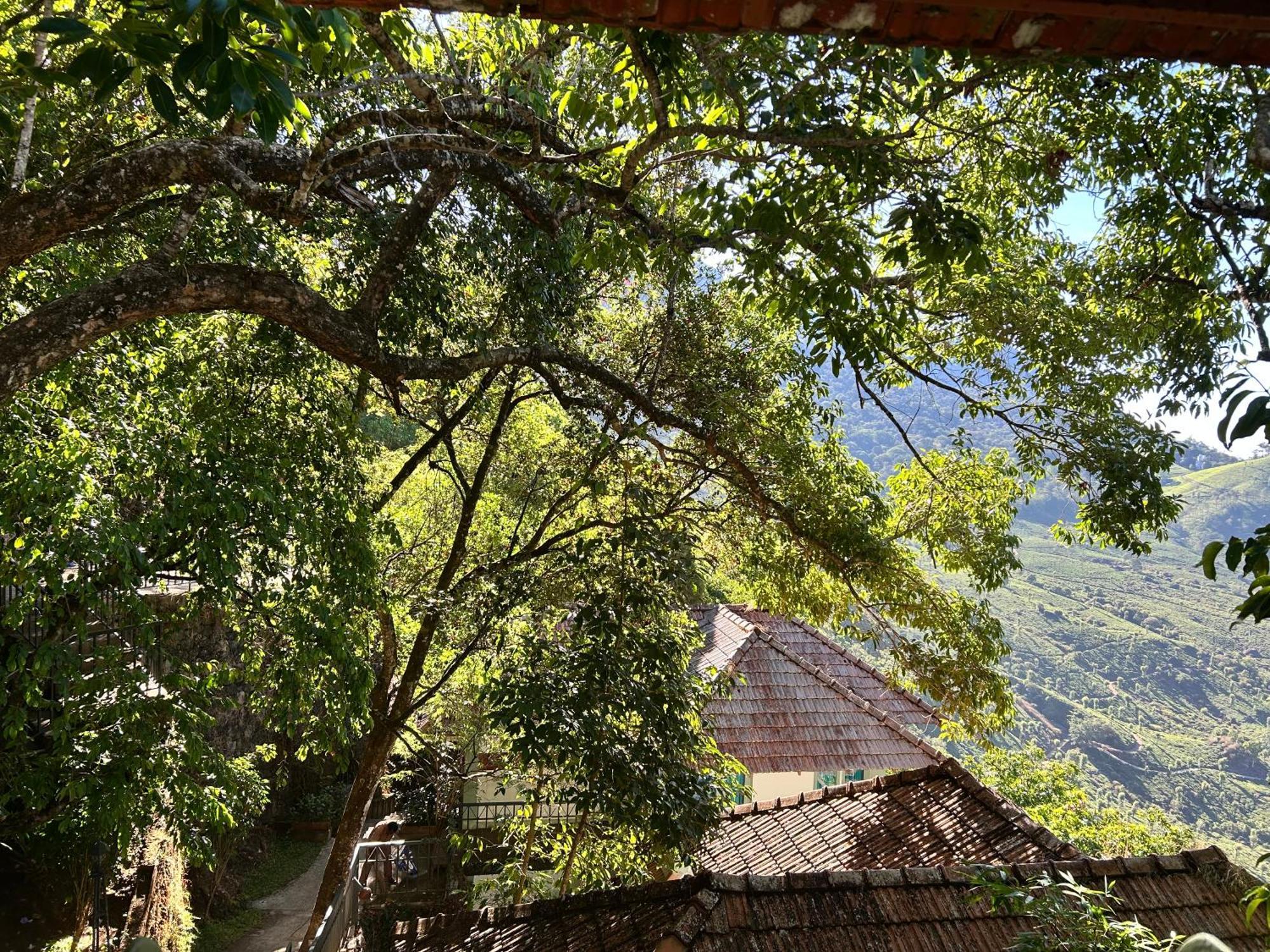 Blackberry Hills Munnar Nature Resort & Spa Esterno foto