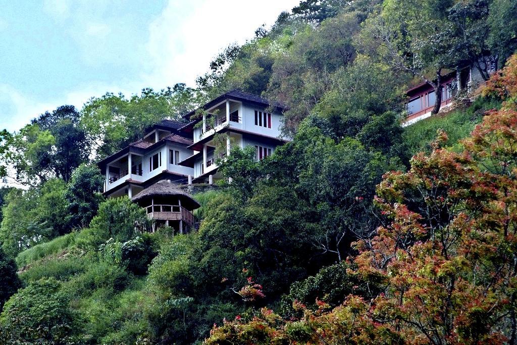 Blackberry Hills Munnar Nature Resort & Spa Esterno foto